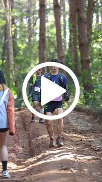 BIB:  <button type="button" onclick="openModal(26569733)" class="btn btn-primary btn-sm float-right" data-toggle="modal" data-target=".modal-high-quality">
                <i class="fa fa-download"></i> Download
                </button>